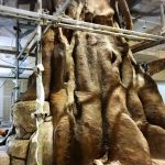 2018-04_神奈川県_大井松田_biotopia_エージング塗装_モルタル造形_大木造形工事_装飾工事_発泡ウレタン造形